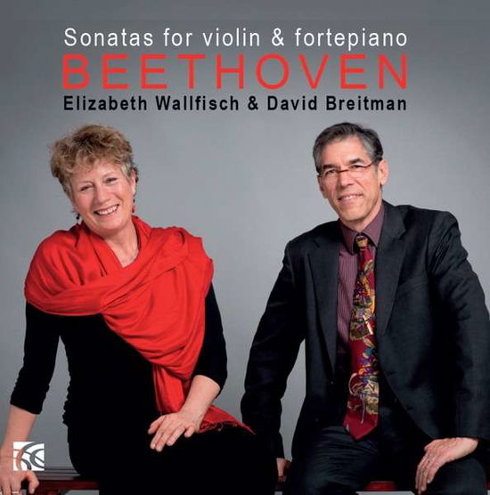 Ten Sonatas For Violin & Piano Vol. 2 - Ludwig Van Beethoven - Musikk - NIMBUS RECORDS - 0710357624728 - 2018