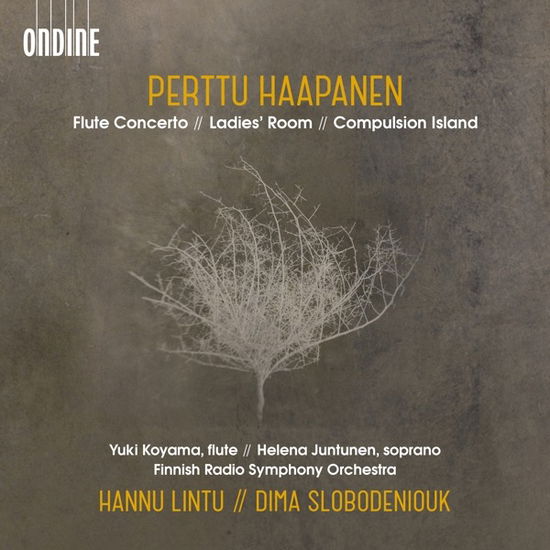 Cover for Finnish Rso / Lintu · Perttu Haapanen: Flute Concerto / Ladies Room / Compulsion Island (CD) (2019)