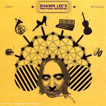 Voices & Choices - Lee,shawn / Ping Pong Orchestra - Musikk - UBIQUITY - 0780661120728 - 30. januar 2007