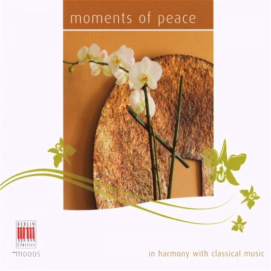 Cover for Aa.vv. · Moments Of Peace (CD) (2007)