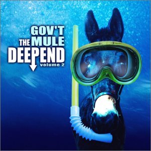 Cover for Gov't Mule · Deep End 2 (CD) [Enhanced edition] (2002)