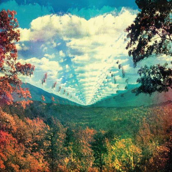 Cover for Tame Impala · Innerspeaker (LP) (2010)