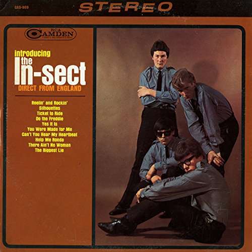 Cover for In-sect · Introducing the In-sect Direct (CD) (2016)