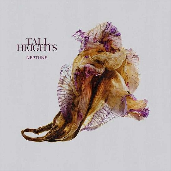 Cover for Tall Heights · Neptune (CD) (2023)