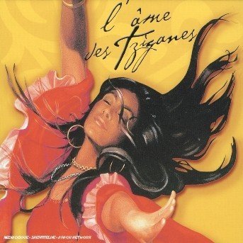 Cover for L'ame Des Tziganes (CD) (2011)