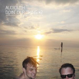 Doing Our Thing Vol.2 - V/A - Musik - AUDIOLITH - 4250137265728 - 26. April 2012