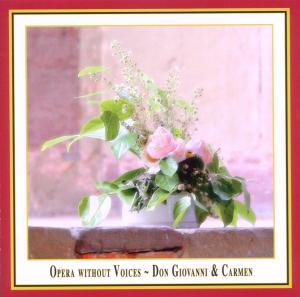 Cover for Arte Ensemble · Oper ohne Sänger: Don Giovanni &amp; Carmen (CD) (2010)