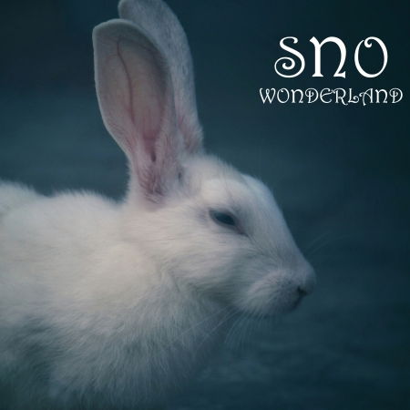 Wonderland - Sno - Musik - REVOLVER - 5016681503728 - 7. juni 2019