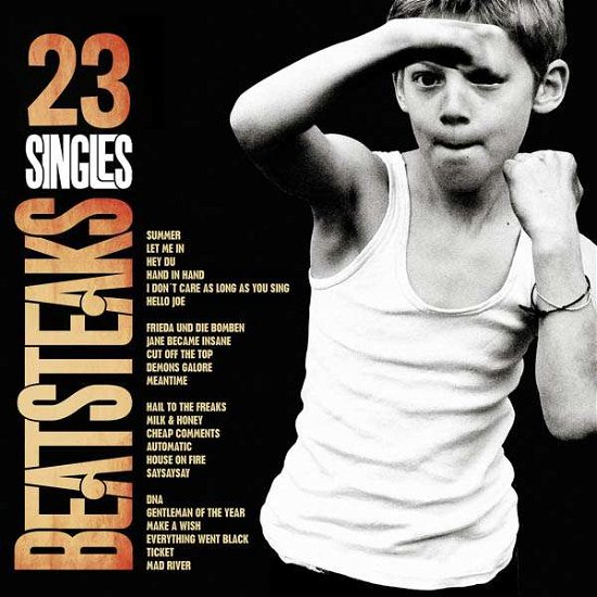Cover for Beatsteaks · 23 Singles (CD) [Bonus Tracks edition] (2015)