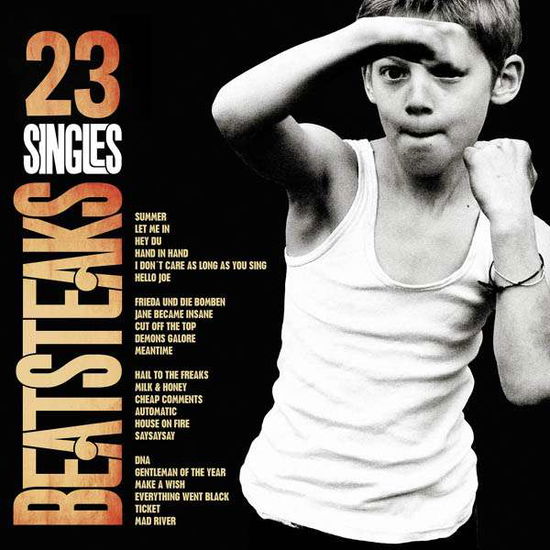 23 Singles - Beatsteaks - Música - WARN - 5054196762728 - 2 de outubro de 2015