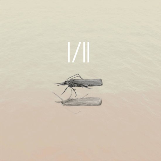 Cover for Mol · I/ii (CD) (2019)