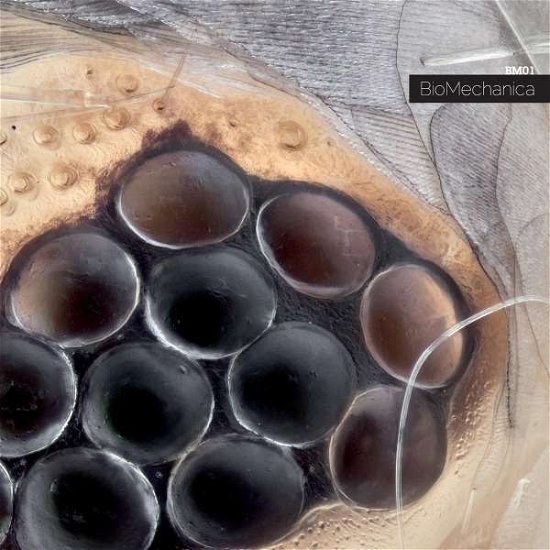 Cover for Biomechanical · Bm-01 (CD) (2021)