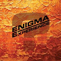 Cover for Enigma Experience · Question Mark (LP) (2020)
