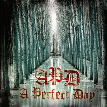 Cover for A Perfect Day (CD) (2012)