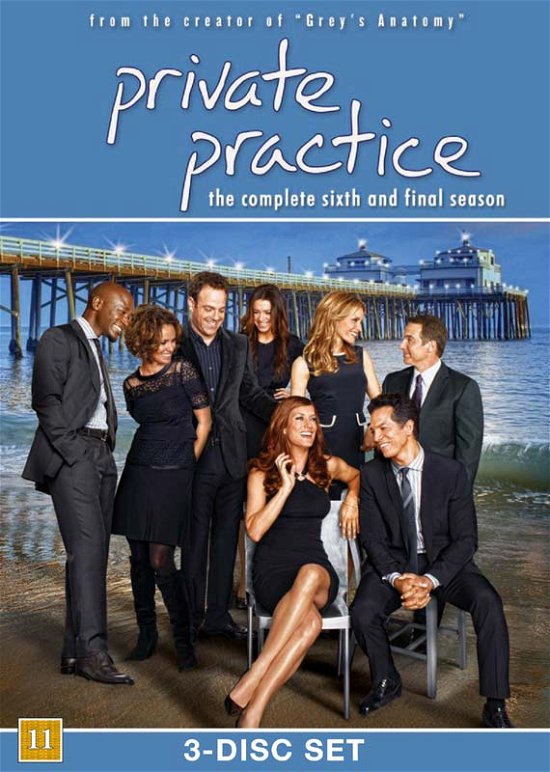 Private Practice S6 - Private Practice - Film - ABC Studios - 8717418395728 - 6. november 2013