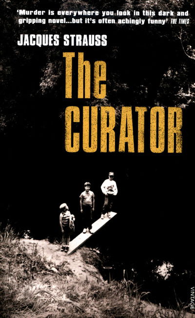 Cover for Jacques Strauss · The Curator (Paperback Book) (2016)