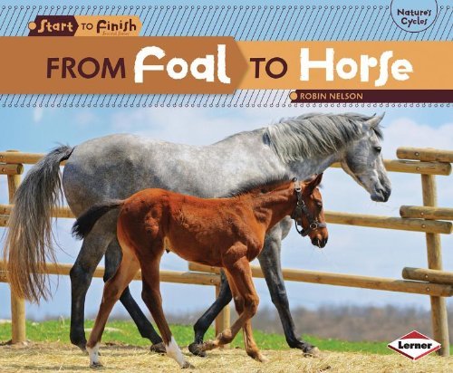 Cover for Robin Nelson · From Foal to Horse (Paperback Book) (2012)
