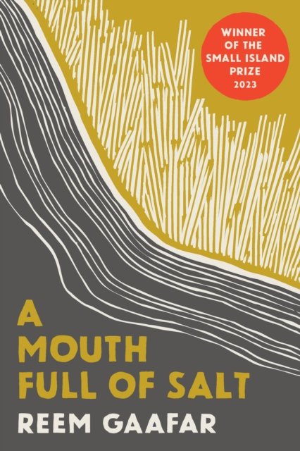 Cover for Reem Gaafar · A Mouth Full of Salt (Innbunden bok) (2024)