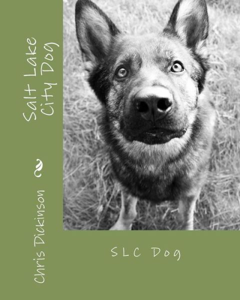 Salt Lake City Dog: Slc Dog - Chris Dickinson - Książki - CreateSpace Independent Publishing Platf - 9781442125728 - 12 czerwca 2009