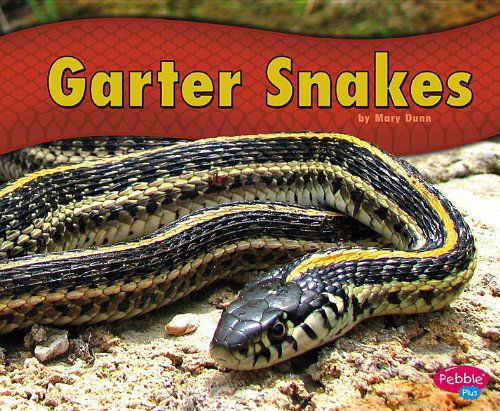 Cover for Mary R. Dunn · Garter Snakes (Hardcover Book) (2013)