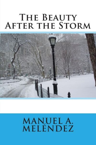 Cover for Manuel a Melendez · The Beauty After the Storm (Paperback Book) (2013)