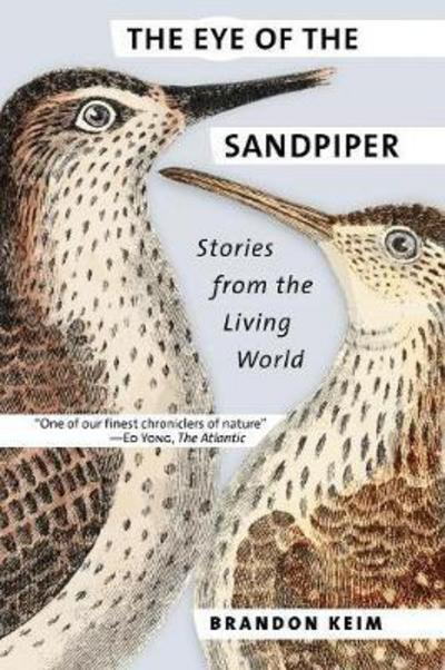 Cover for Brandon Keim · The Eye of the Sandpiper: Stories from the Living World (Paperback Book) (2017)