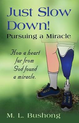 Cover for M L Bushong · Just Slow Down! Pursuing a Miracle (Paperback Book) (2017)