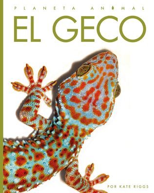 Geco - Kate Riggs - Books - Creative Company, The - 9781640266728 - July 15, 2022
