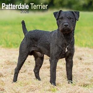 Cover for Patterdale Terrier Calendar 2026  Square Dog Breed Wall Calendar - 16 Month (Calendar) (2025)