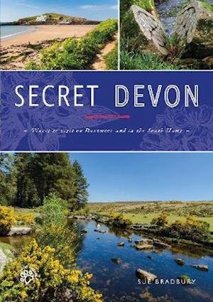 Cover for Sue Bradbury · Secret Devon - Secret Series (Paperback Book) (2021)