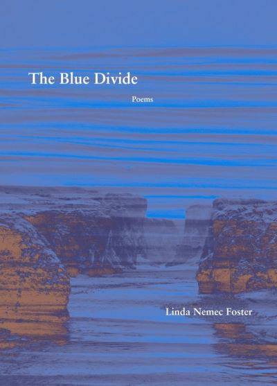 Cover for Linda Nemec Foster · The Blue Divide – Poems (Paperback Book) (2021)