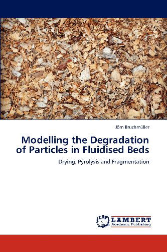 Cover for Jörn Bruchmüller · Modelling the Degradation of Particles in Fluidised Beds: Drying, Pyrolysis and Fragmentation (Paperback Book) (2012)
