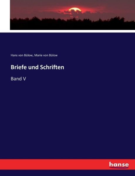 Cover for Bülow · Briefe und Schriften (Book) (2017)