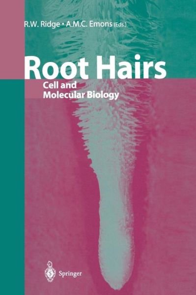 Cover for R W Ridge · Root Hairs: Cell and Molecular Biology (Paperback Book) [Softcover reprint of the original 1st ed. 2000 edition] (2012)