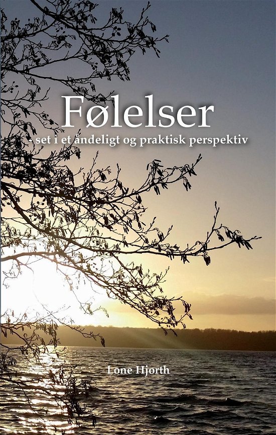 Følelser - set i et åndeligt og praktisk perspektiv - Lone Hjorth - Books - Hjorth & Nielsen - 9788799871728 - May 1, 2016