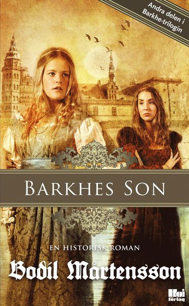 Cover for Bodil Mårtensson · Barkhes son : en historisk spänningsroman (Paperback Book) (2013)