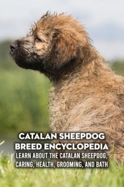 Cover for Lankford Marcus · Catalan Sheepdog Breed Encyclopedia: Learn about The Catalan Sheepdog, Caring, Health, Grooming, and Bath: Catalan Sheepdog Profile (Paperback Book) (2021)