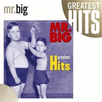 Cover for Mr Big · Greatest Hits (CD) (2004)