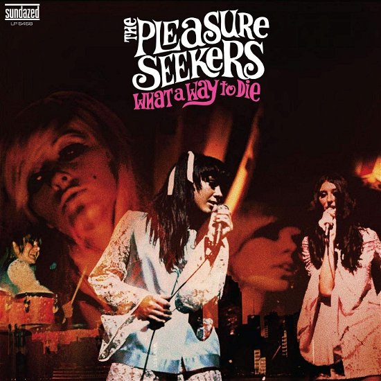 Cover for Pleasure Seekers · What A Way To Die (LP) (2024)