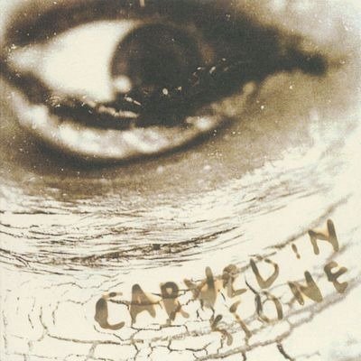 Cover for Neil Vince · Carved in Stone (CD) (1995)