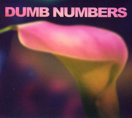 Cover for Dumb Numbers (CD) (2013)