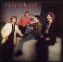 Cover for New Grass Revival · Hold to a Dream (CD) (2001)