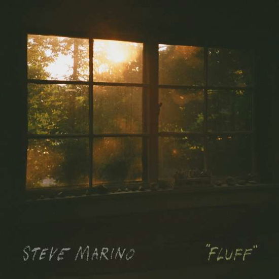 Cover for Steve Marino · Fluff (CD) (2019)