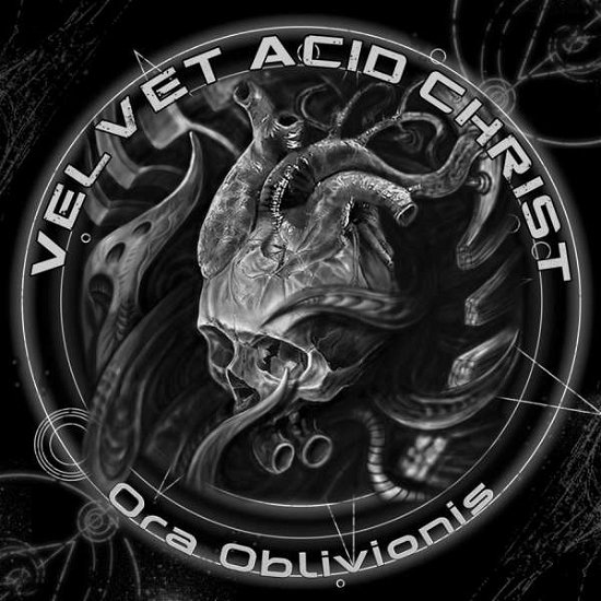 Cover for Velvet Acid Christ · Ora Oblivionis (CD) (2019)