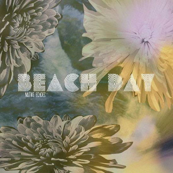 Cover for Beach Day · Native Echoes (CD) (2014)