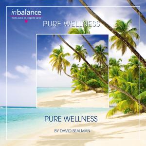 Cover for David Sealman · Pure Wellness (CD) (2021)