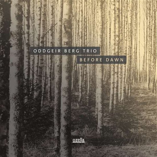 Cover for Oddgeier Berg Trio · Before (LP) (2019)