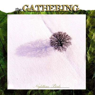 Cover for Gathering · Nighttime Birds (CD) (2022)