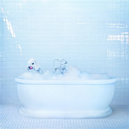 Cover for Frankie Cosmos · Vessel &lt;limited&gt; (CD) [Japan Import edition] (2020)