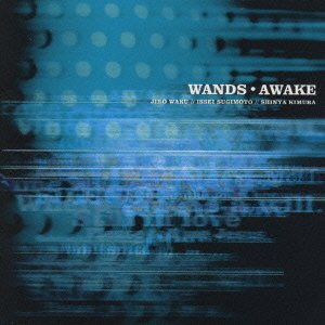 Cover for Wands · Awake (CD) [Japan Import edition] (1999)